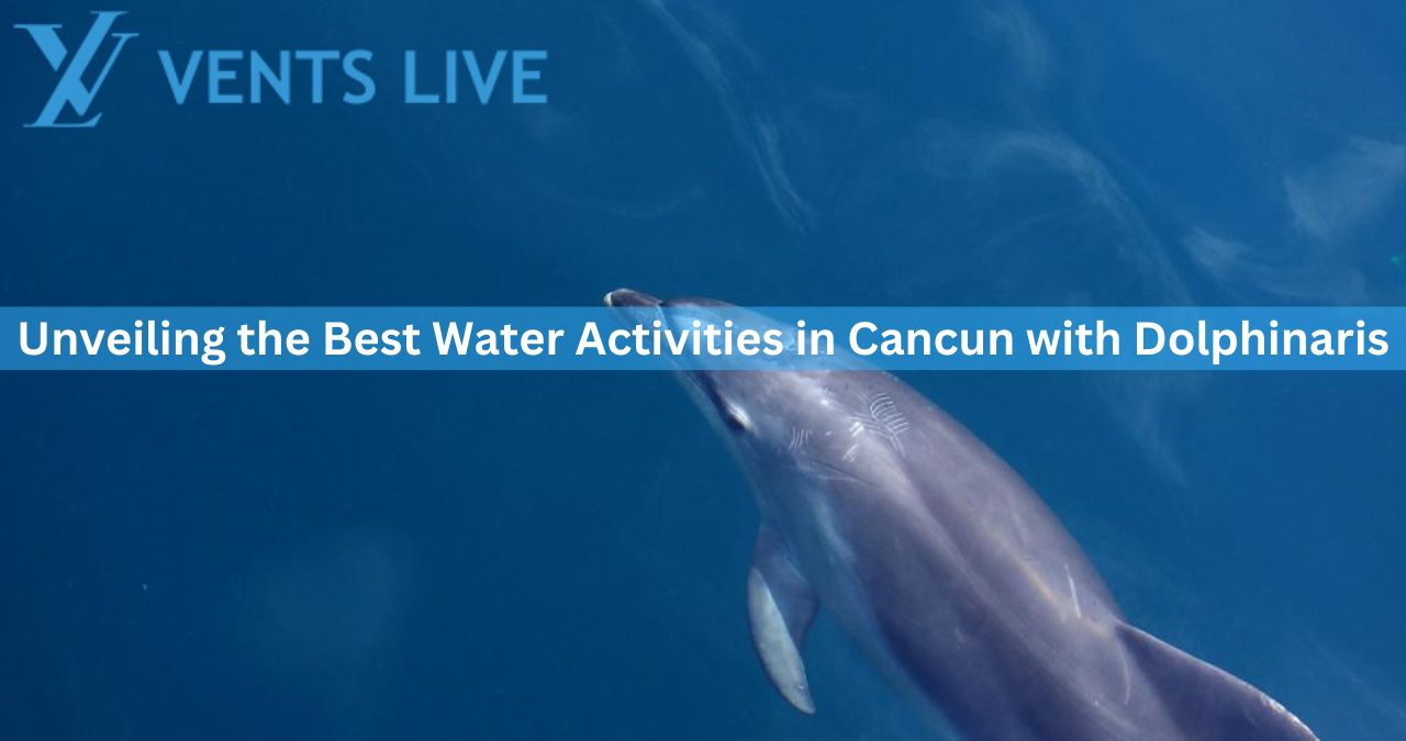 Unveiling the Best Water Activities in Cancun with Dolphinaris