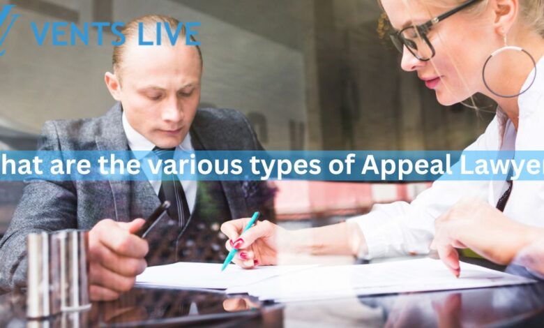 What are the various types of Appeal Lawyers?