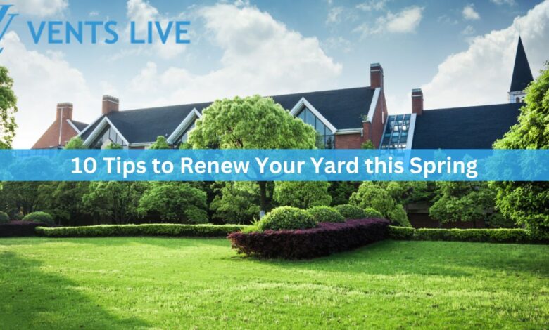 10 Tips to Renew Your Yard this Spring
