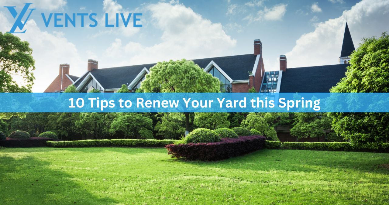 10 Tips to Renew Your Yard this Spring