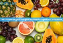 Unveiling the Freshest Organic Delights: Greensoul Organics in Melbourne, Australia