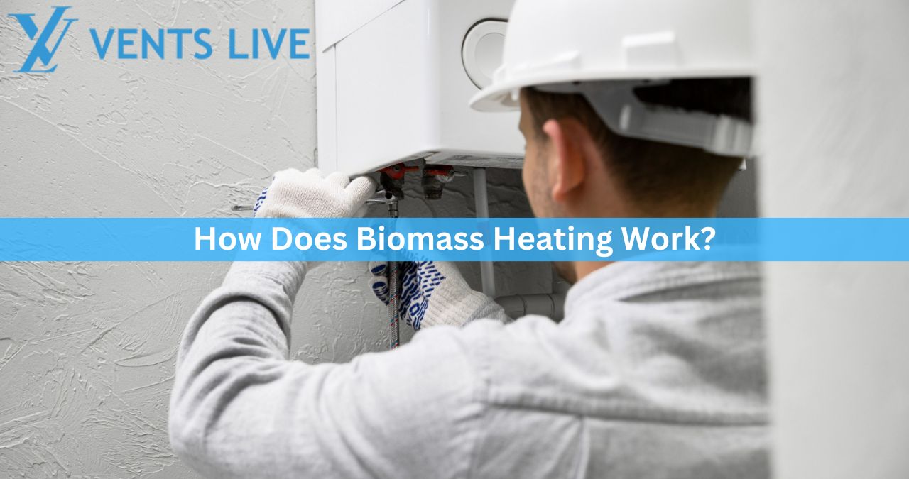 How Does Biomass Heating Work?