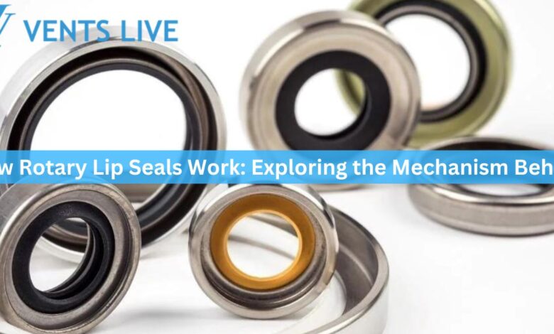 How Rotary Lip Seals Work: Exploring the Mechanism Behind